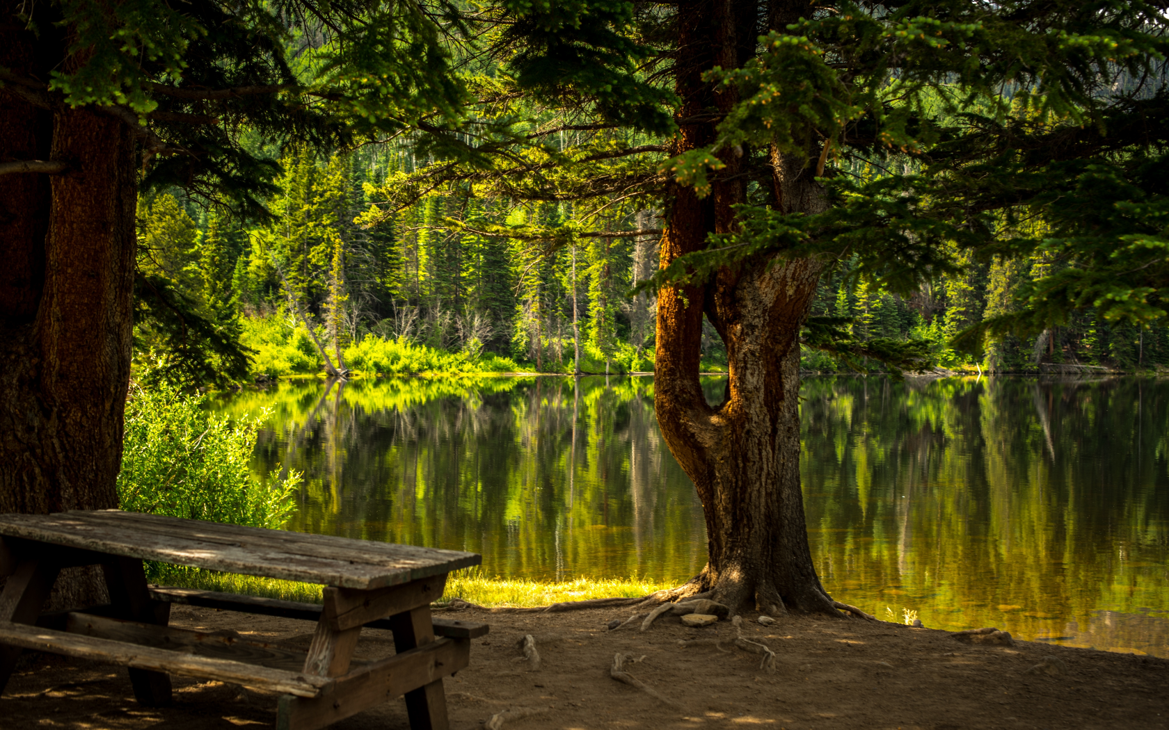 лес, озеро, forest, grass, lake, landscape, park, travel, trees, water, nice, wide