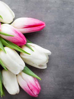 beautiful, розовые, fresh, белые, pink, white, тюльпаны, tulips, букет, spring, flowers, цветы