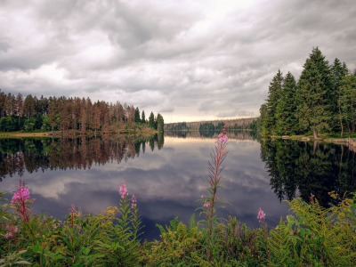 природа, красота, пейзаж