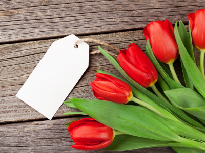 love, wood, тюльпаны, romantic, tulips, любовь, букет, red, flowers, цветы