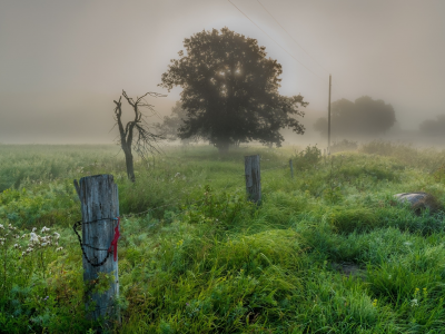 природа, красота