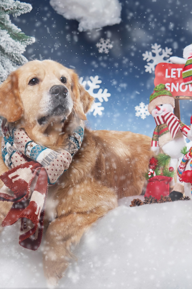 снеговики, снежинки, шарф, снег, собака