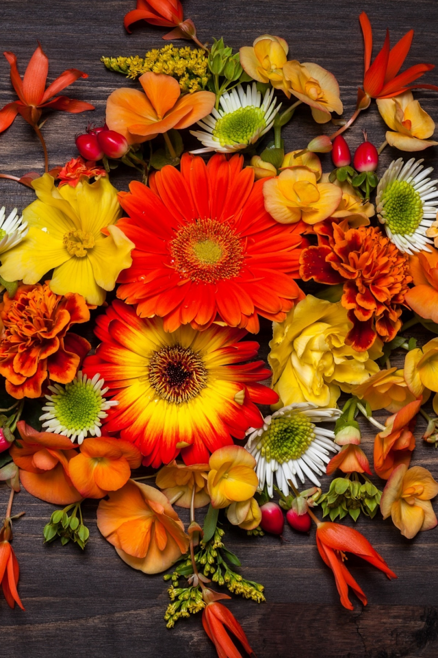 осень, wood, листья, композиция, autumn, leaves, floral, flowers, цветы
