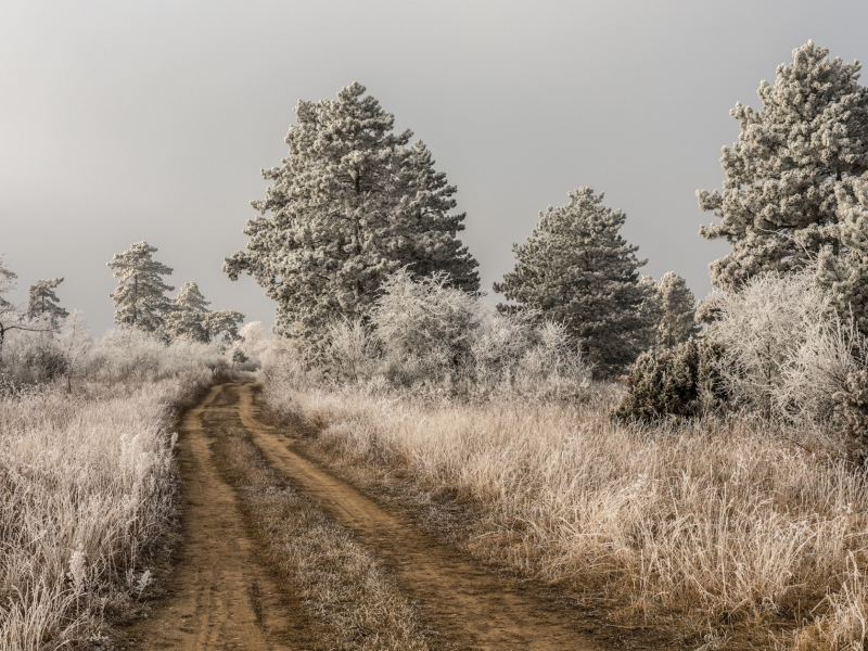 природа, красота