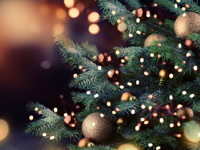 ёлка, игрушки, подарки, новый год, рождество, комната, happy, holidays, xmas, christmas, gifts, room, tree, spruce, see, toys, sun, winter, see, nice, wide