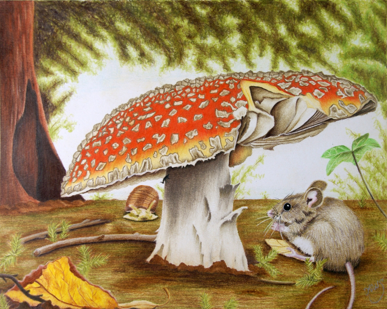 mushroom, mouse, artwork, drawing, nature