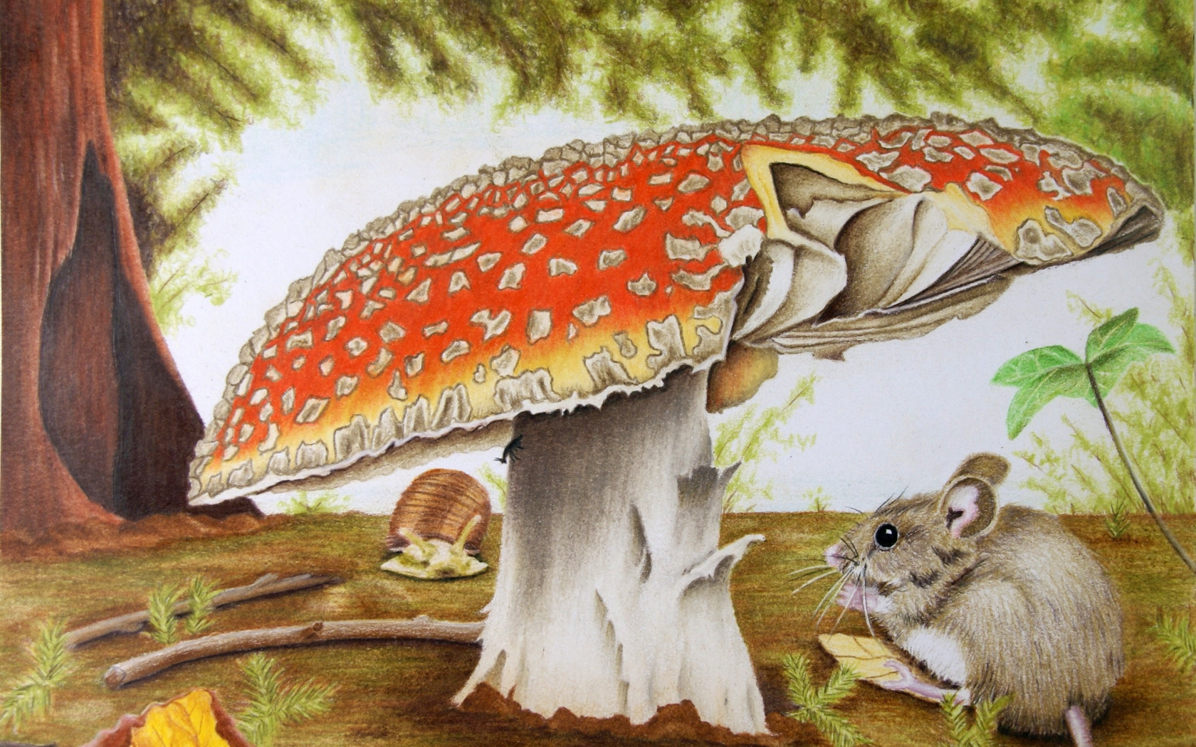 mushroom, mouse, artwork, drawing, nature