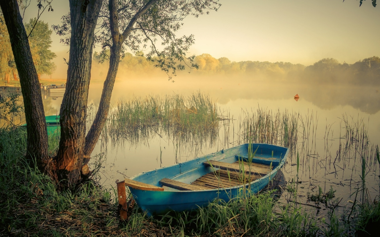 природа, озеро, туман, лодка