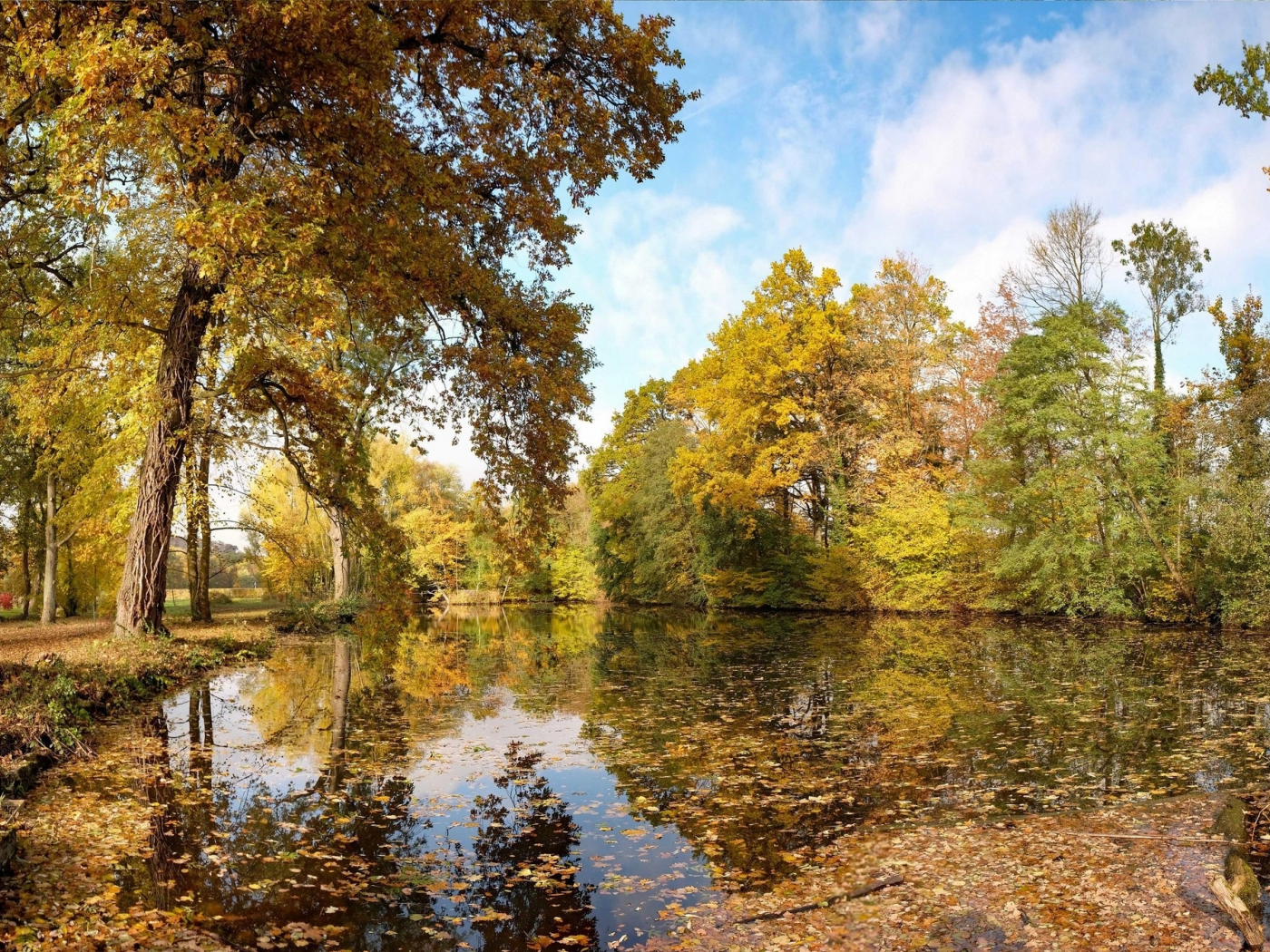 осень, листья, пруд, деревья