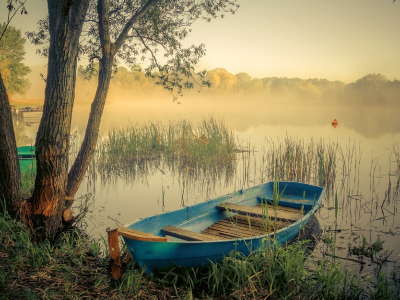 природа, озеро, туман, лодка