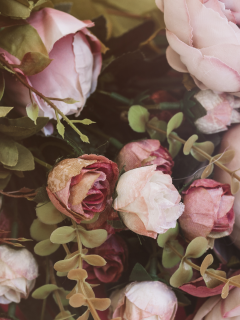цветы, букет, розовые, розы