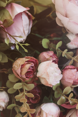 цветы, букет, розовые, розы