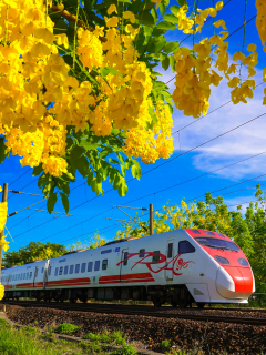 цветы, поезд