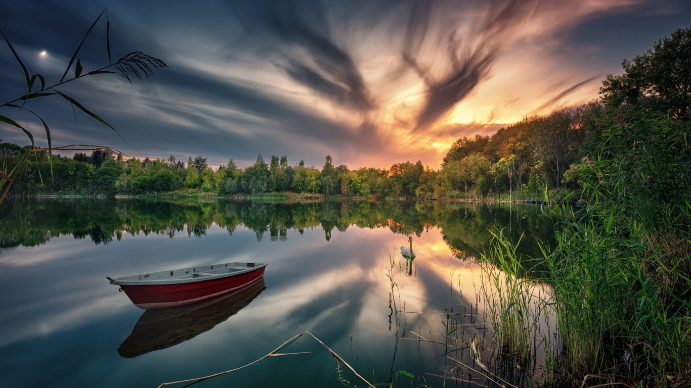 лес, закат, озеро, отражение, лодка, лебедь