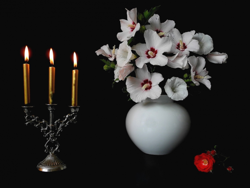 натюрморт, цветы, свечи