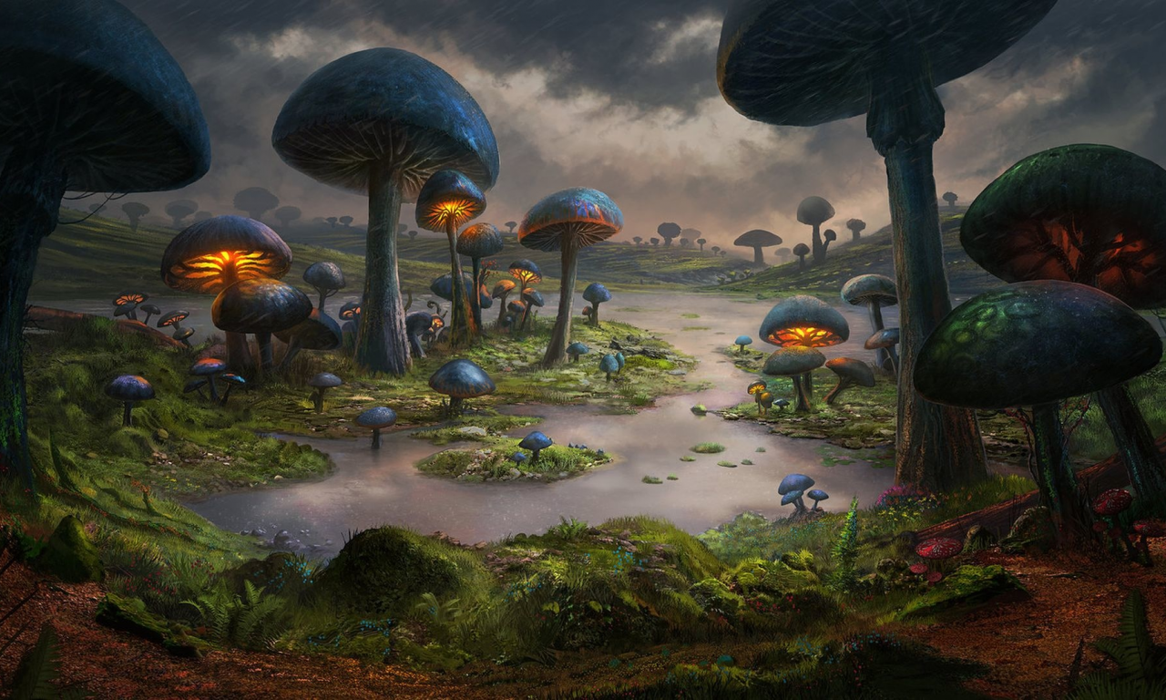 планета грибов, грибы, planet of mushrooms, mushrooms, planet, alien, home, second, robot, aluren, spaceship, futuristic, nice, sun, sky, stars, solar, dominiquevvelsen, nice, wide