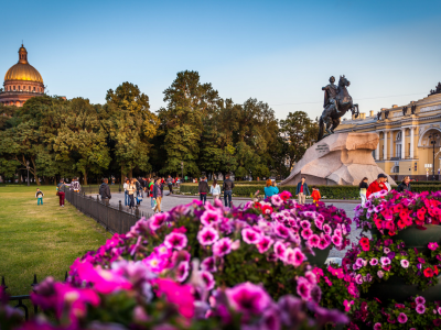 петербург, площадь декабристов, сенатская, памятник, пётр первый, цветы, лето