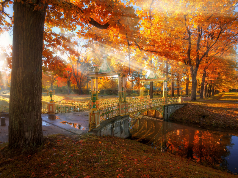 петербург, осень, парк, ландшафт, мостик, красота