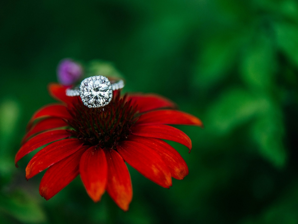 цветок, кольцо