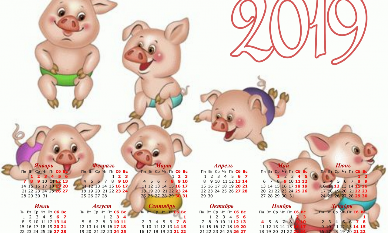 нов, год, свиньи, календарь