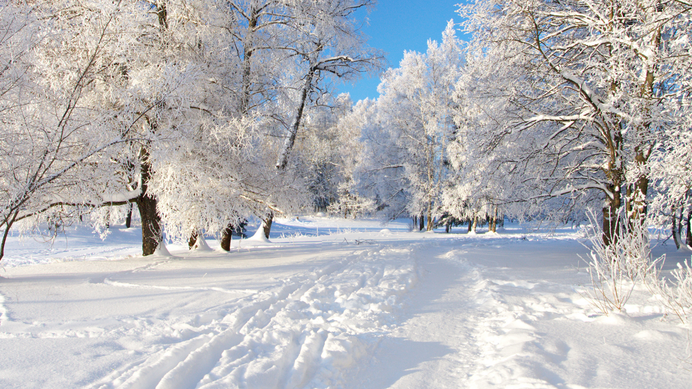 зима, снег, дорога, деревья