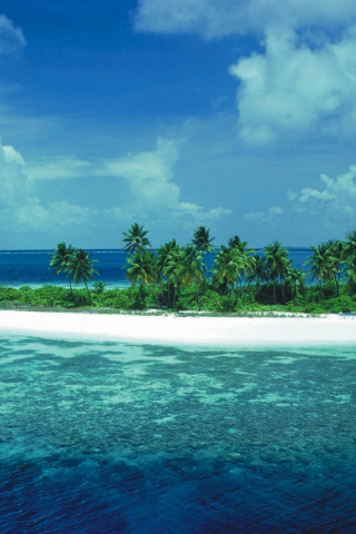 остров, пальмы, море, песок
