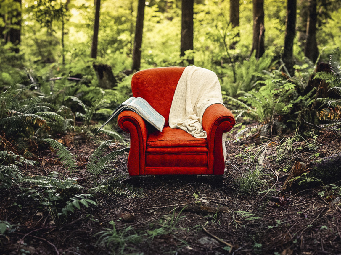 лес, поляна, кресло
