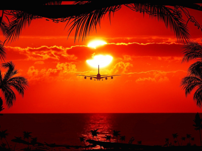 закат, самолёт, солнце, пальмы