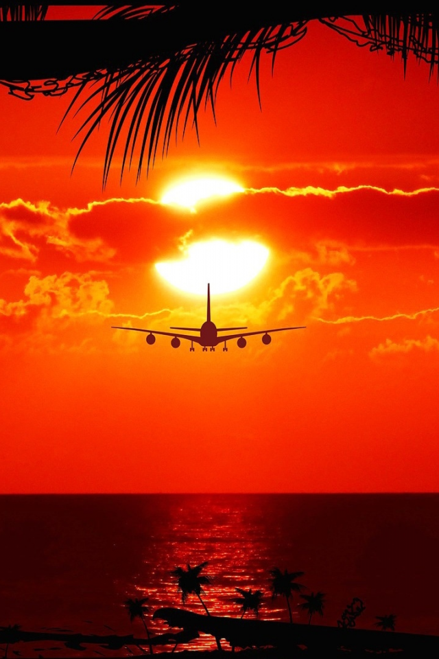 закат, самолёт, солнце, пальмы