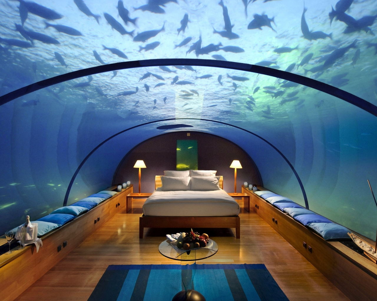 комната, стекло, рыбы