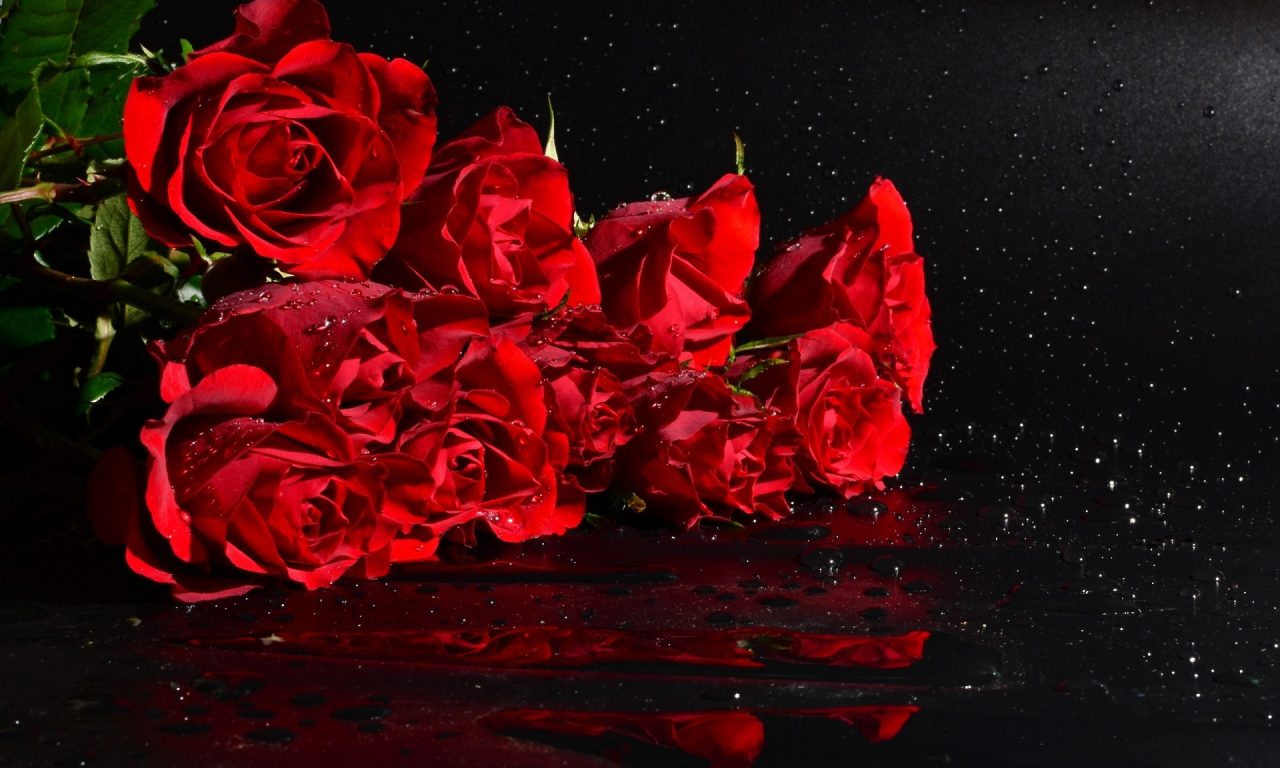 букет, красные розы