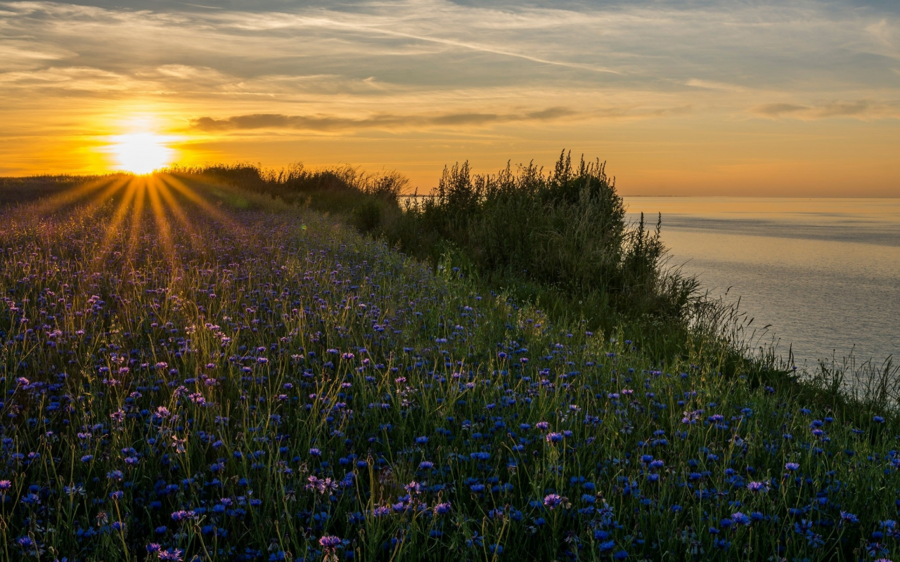 природа, красота, пейзаж