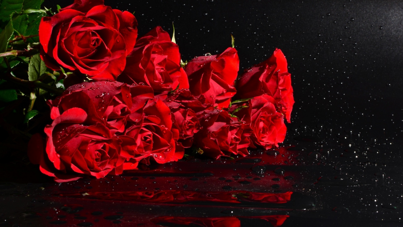 букет, красные розы