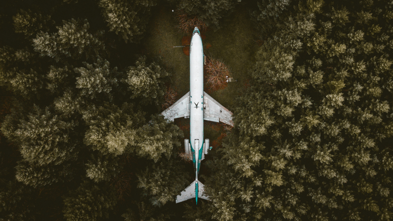 лес, самолёт