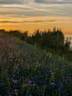 природа, красота, пейзаж