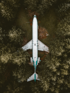 лес, самолёт
