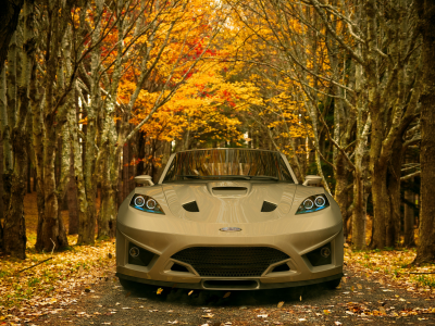 автомобиль, дорога, листья