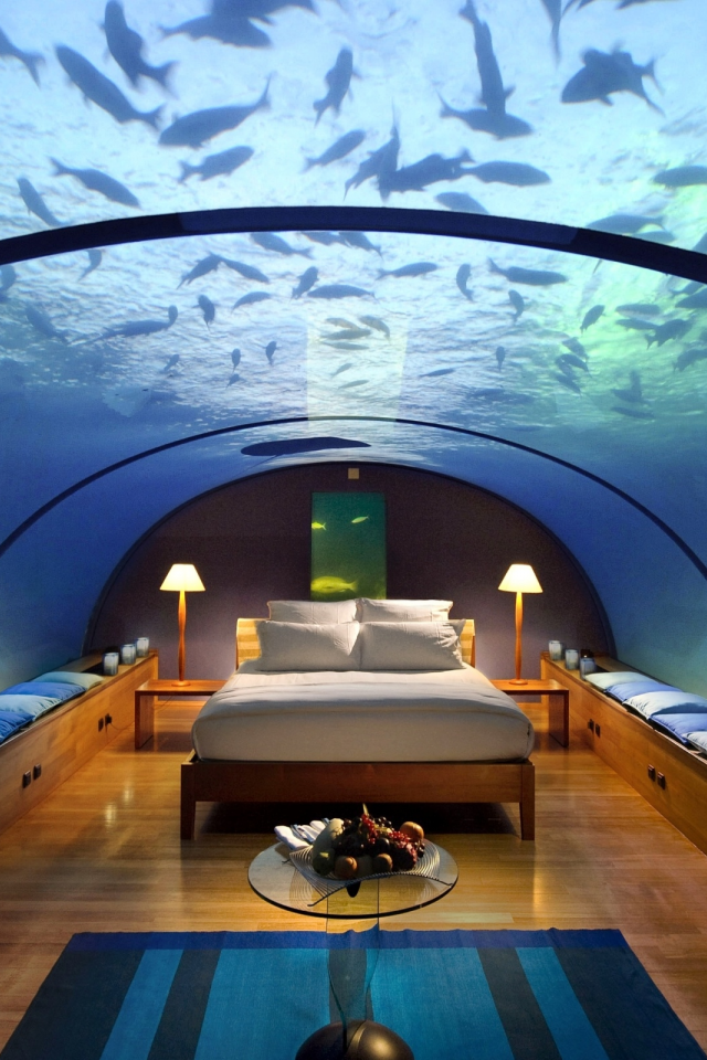 комната, стекло, рыбы