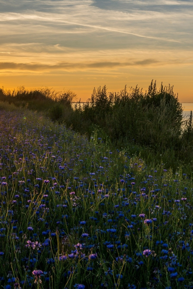 природа, красота, пейзаж