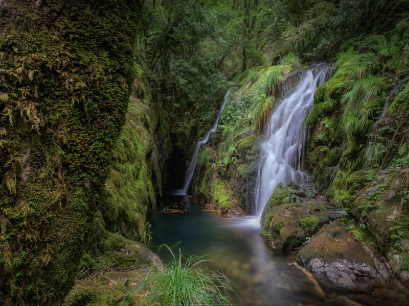 природа, пейзаж, красота