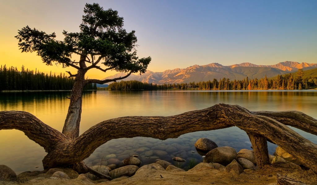 дерево, озеро, горы