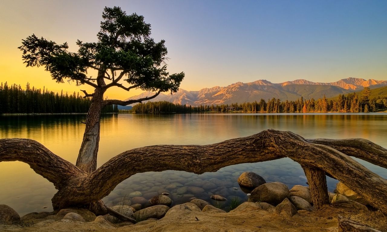 дерево, озеро, горы