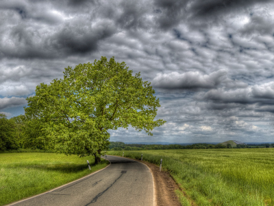 дорога, трава, дерево, облака