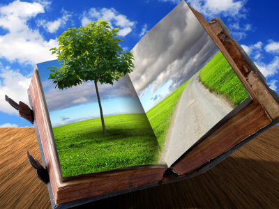 книга, дерево, небо