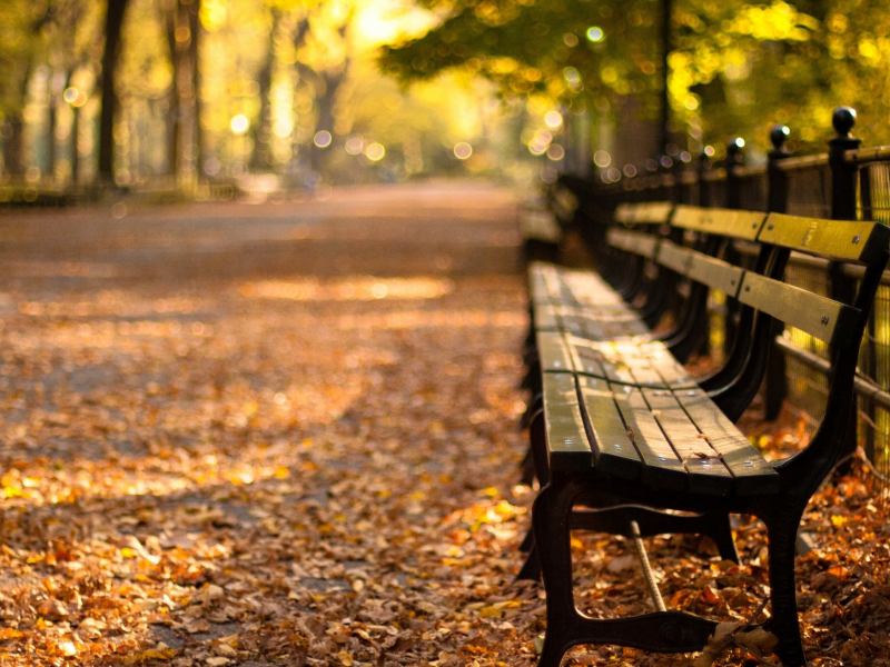 парк, скамейки, листья