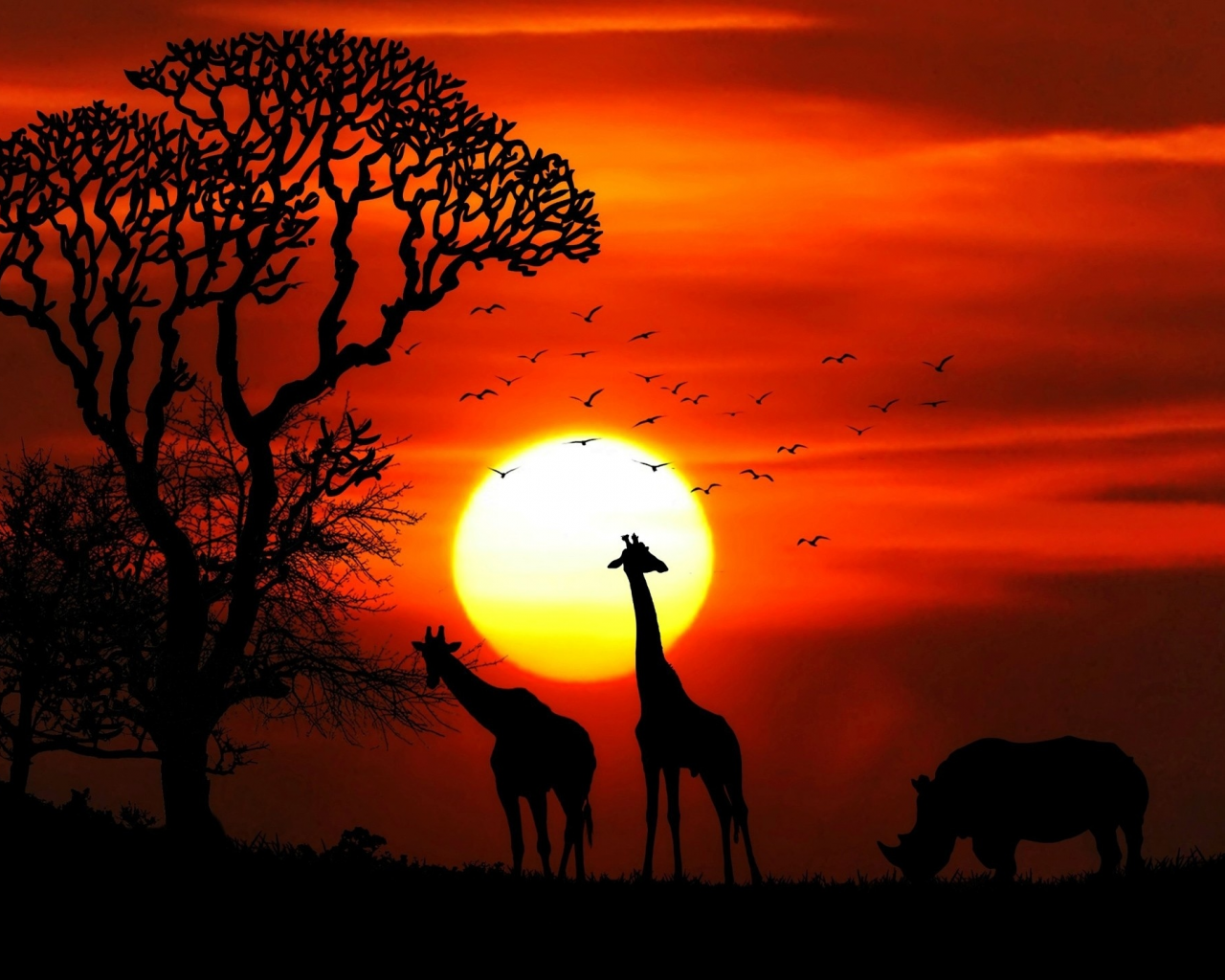 африка, закат, жирафы