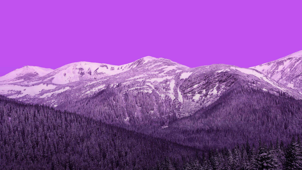 горы, снег, лес