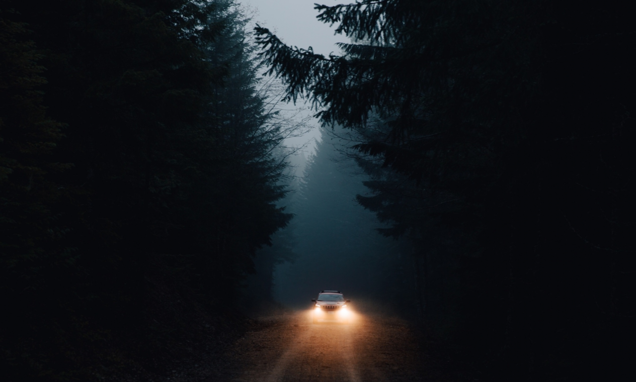ночь, деревья, дорога, фары авто