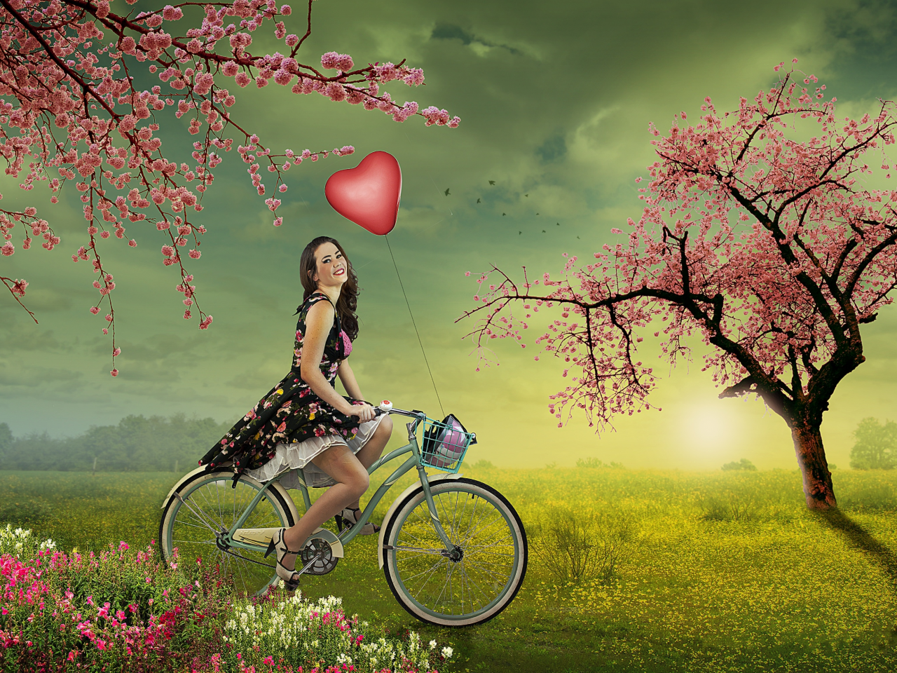 закат, поле, деревья, цветение, девушка, велосипед, улыбка, настроение