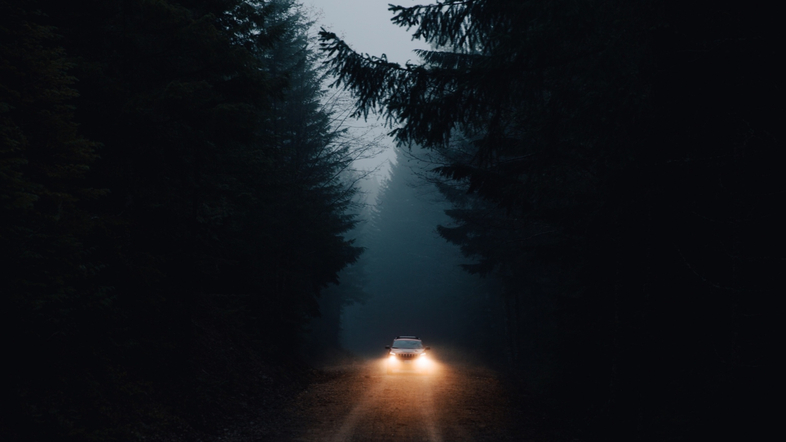 ночь, деревья, дорога, фары авто